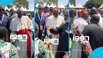 Ghanaian man stops Cardinal Turkson from gifting money to cultural dancer, Ghanaians blast him