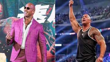 46% of adult Americans want 'The Rock' to be the Next US President