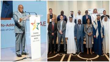 Akufo-Addo woos UAE investors; describes Ghana as the best place to do business in West Africa