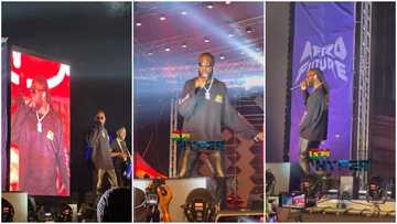 Afro Nation 2022: Videos Drop As Burna Boy Mesmerises Ghanaians With Stellar Performance
