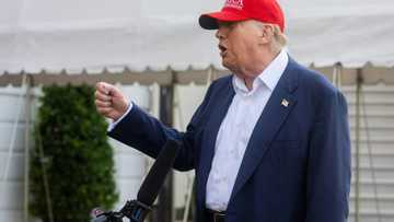 Trump says will 'take a look' at deporting Musk