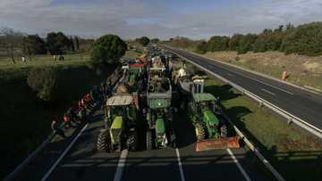 Balkan nations offer lessons on handling cow virus sowing turmoil