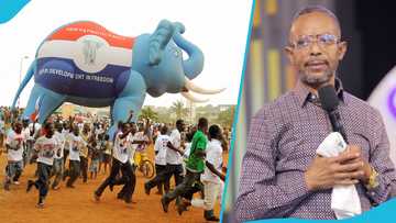 Owusu-Bempah reveals dream about spiritual bondage of the NPP, says elephant has been caged