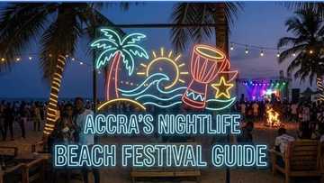The definitive guide to sourcing and designing custom beach-themed neon signs