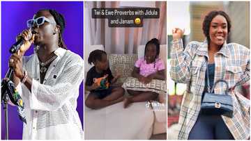 Stonebwoy's kids speak Ewe and Twi fluently, video impresses fans