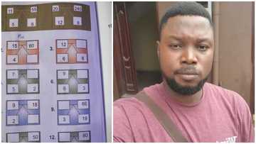"Which kind wahala be this?" Nigerian man laments over niece's quantitative reasoning homework, people react