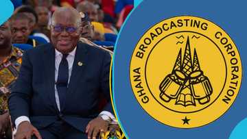 Akufo-Addo constitutes new boards for GBC, three other state-owned media