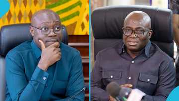 What to know about the epic clash between the Finance Ministry and Agric Ministry