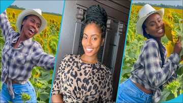 MzVee plays in a large sunflower farm abroad, Ghanaians awestruck by the beautiful scenery