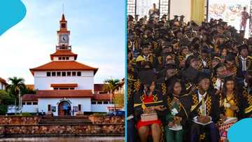 Scholarships Authority opens applications for local tertiary students, here's how to apply