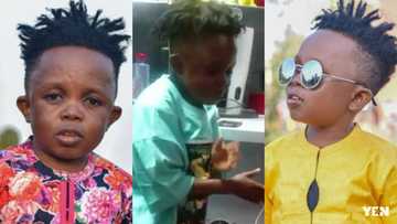 Fans shout after Don Little displays special 'Zanku' dance skill in funny video