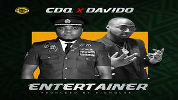 CDQ feat. Davido – Entertainer: video, mp3, lyrics and facts