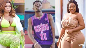 Latest video shows Moesha Boduong's 'tundra' has increased in size; Shatta Wale reacts