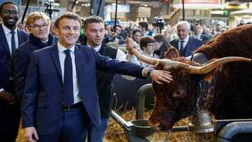 Macron warns EU-South America deal hinges on environment