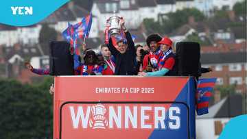 The reason Crytal Palace have been removed from the Europa League