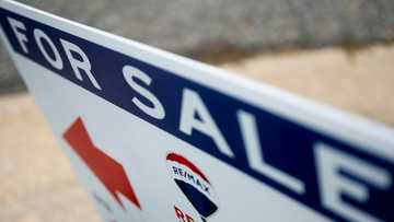 US home sales bounce in February, ending 12-month slide