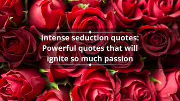 Top 50+ intense seduction quotes: Powerful quotes that will ignite so much passion