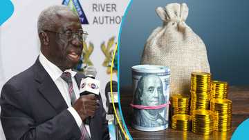 Osafo-Maafo calls for more transparency in Ghana's asset declaration law