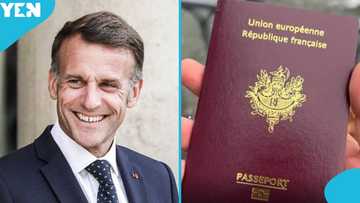 France lists 3 categories of people who can get French citizenship without paying fees