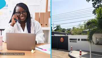 Denmark Embassy in Ghana announces job opening, shares requirements and salary details
