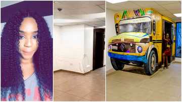 Lady Converts Elevator’s Entrance Into ‘Molue’ With Painting, Her Artistic Photo Wows People