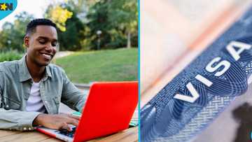 New Zealand publishes 4 changes to student visa rules which affect foreign students
