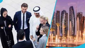 How to Set Up a Mainland Company in Abu Dhabi: A Step-by-Step Guide