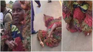 Masquerade wows many as he takes off mask & rolls on floor like a baby while asking for money