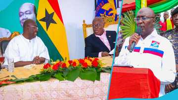 NPP flagbearer race: 5 leading party members who are betting on Bawumia in the flagbearer race