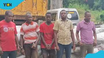 Soldiers arrest police inspector and others for attempted smuggling of cocoa to Togo