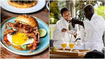 Music and AC in Toilet: Netizens List 7 Signs One Has Entered Expensive, Overpriced Hotel