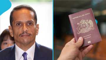 Qatar names African countries whose officials can enter without prior visas