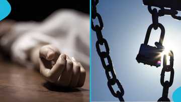 20-year-old reportedly stabs younger brother to death over padlock