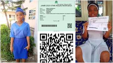 Ejikeme Joy Mmesoma: Young man creates QR code, inputs 390 score, shows it's possible to fake result