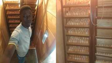 Ghanaian young entrepreneur creates incubator that hatches 2 000 eggs in 21 days