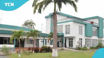 Nigeria High Commission media coordinator in Ghana resigns, concerning alleged reasons emerge