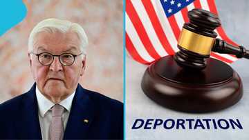 Germany deports 137 people on 5 charter flights, details emerge