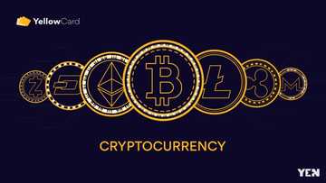 How Cryptocurrency (Bitcoin & Tether) Helps Businesses in Africa