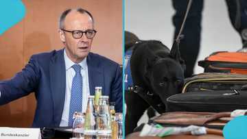 Germany releases list of items not permitted when entering the country in 2026