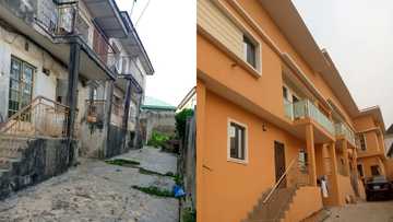 Talented designer turns old storey building into colorful mansion; shares 4 powerful photos