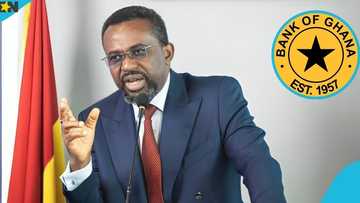 Bank of Ghana names 20 unlicensed digital loan apps in Ghana, warns public against using them