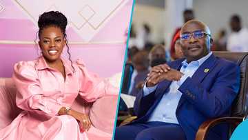 Nana Aba endorses Bawumia's galamsey solution, says it is the best she has heard