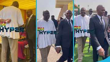 Ibrahim Mahama storms his brother's inauguration in a smock with Nigerian businessman Tony Elumelu