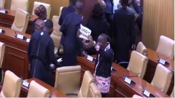 CCTV could not identify NDC MPs who held 'bloody widow' placards - Parliament