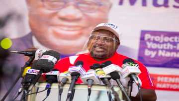 Nana B lists 60 achievements of Akufo-Addo
