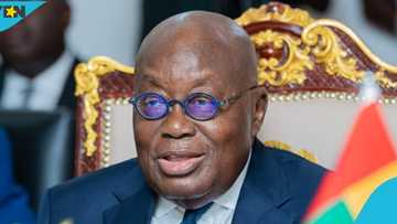 Paul Adom-Otchere hails Akufo-Addo as most impactful Ghanaian politician