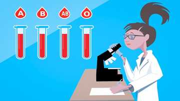 Best blood group compatibility for marriage and pregnancy