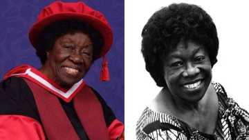 Meet Dr. Leticia Obeng first Ghanaian woman to earn 1st degree & PhD in science