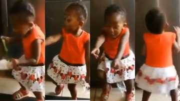 Video of 2-year-old girl making adorable dance moves to Stonebwoy’s Putuu surfaces on the internet