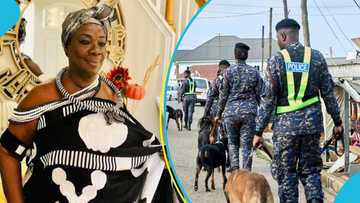 Tensions in Gomoa Akyempim after reported landguard attack on palace, Queenmother raises alarm